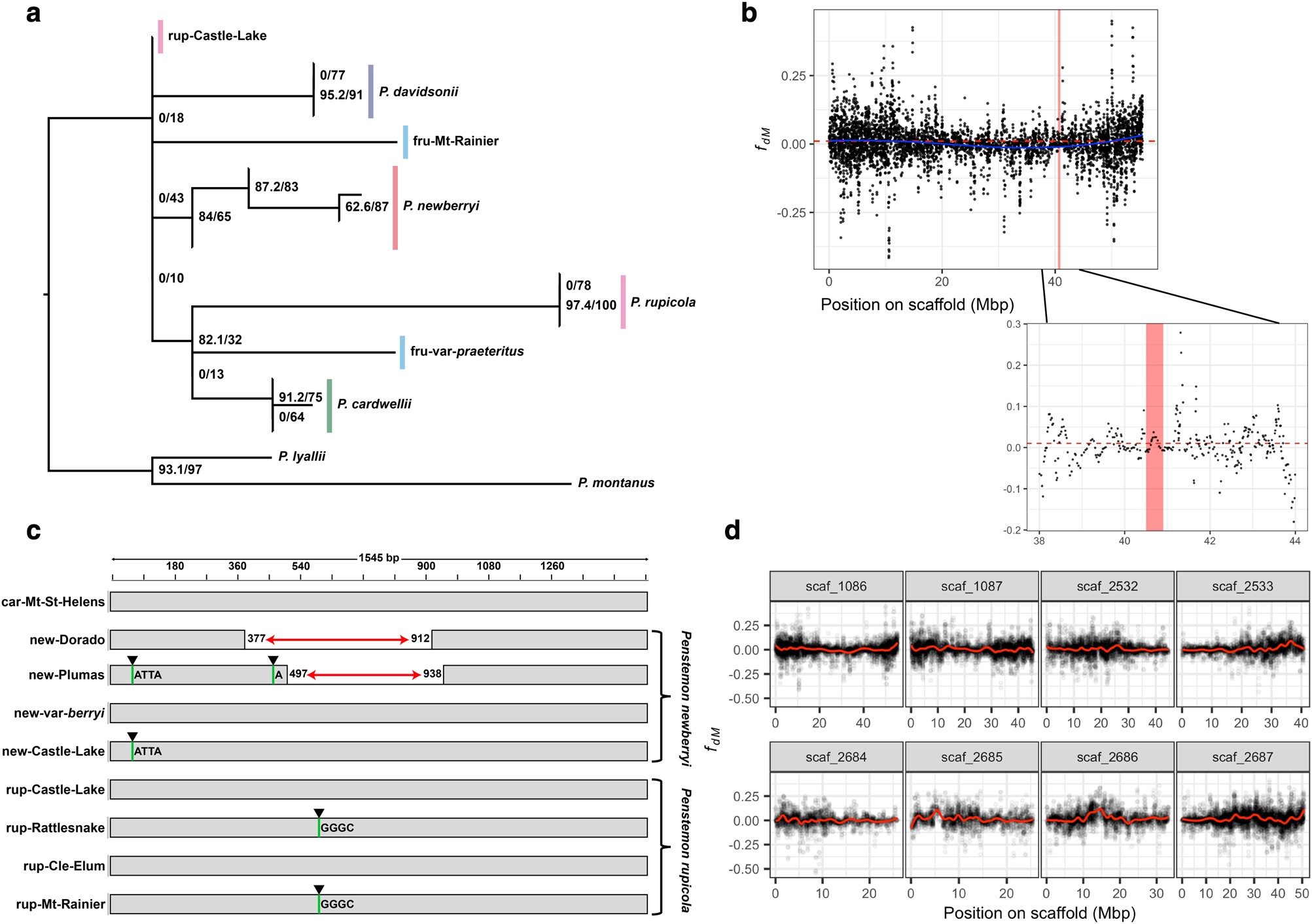 Ecological diversification in an adaptive radiation of plants':' the role of de novo mutation and introgression